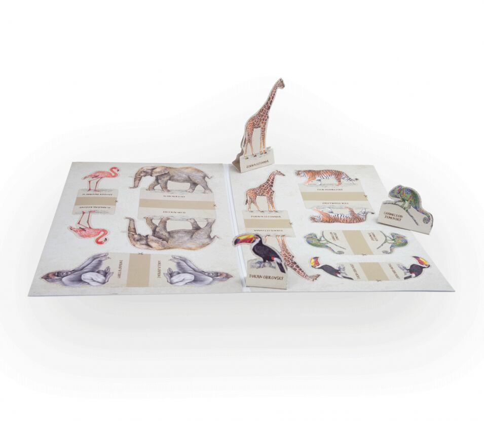 Lesní svět Vystřihovánky Lesní svět