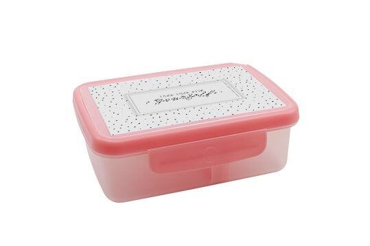 ZDRAVÁ LAHEV® Svačinový box Zdravá sváča Scandi růžová